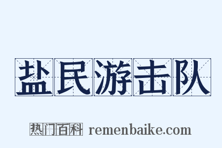 盐民游击队是什么意思的图片